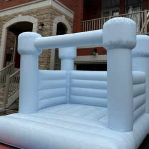Package Deal – Blue Bouncy Castle and Small Bubble Dome